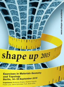 2015_ShapeUpPoster